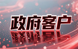 政府客户